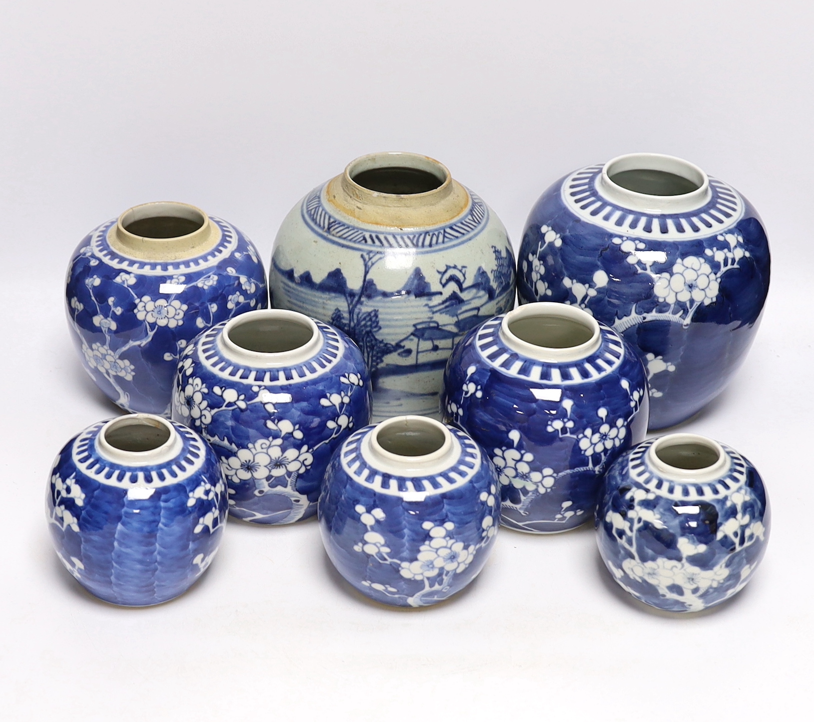 A collection of Chinese blue and white ginger jars including seven prunus flower examples, largest 18cm high